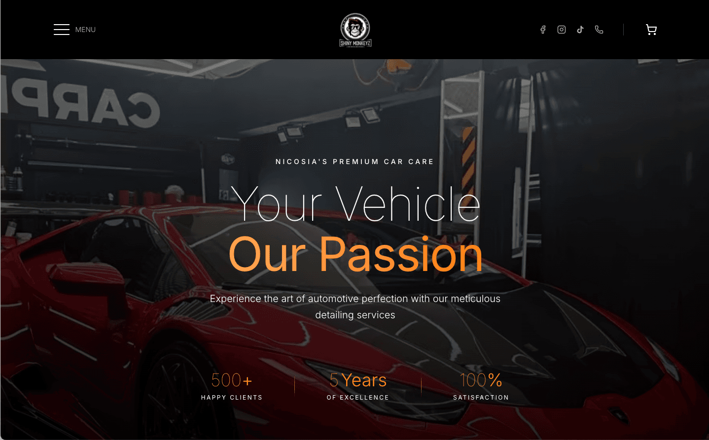Shiny Monkeyz — business website designed and developed by WebLab Cyprus